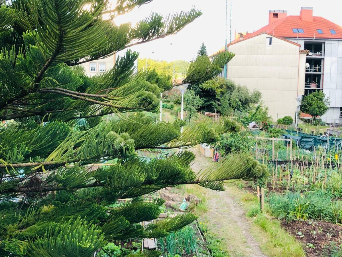 Albergue Sixtos No Caminho Santiago de Compostela Eksteriør bilde